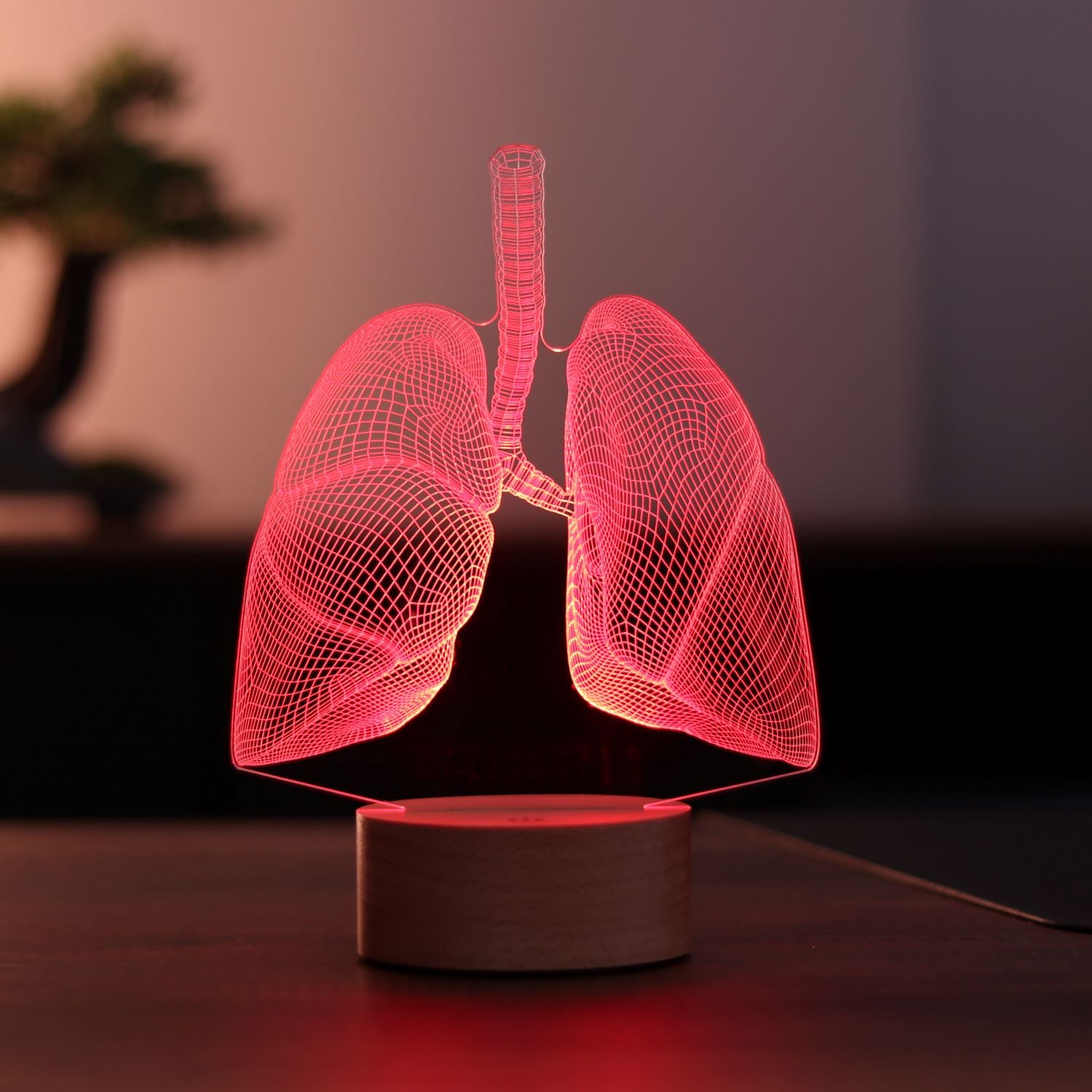 Lung Figured Decorative Gift Led Table Lamp | BYLAMP