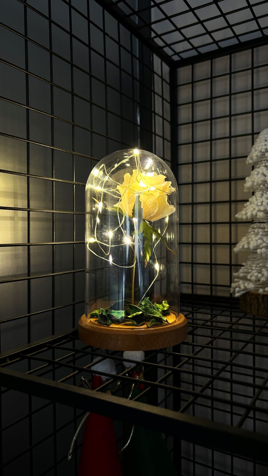 White Rose Illuminated Glass Fanus Lamp