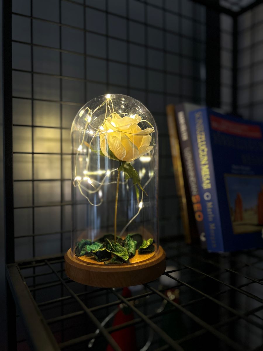 White Rose Illuminated Glass Fanus Lamp