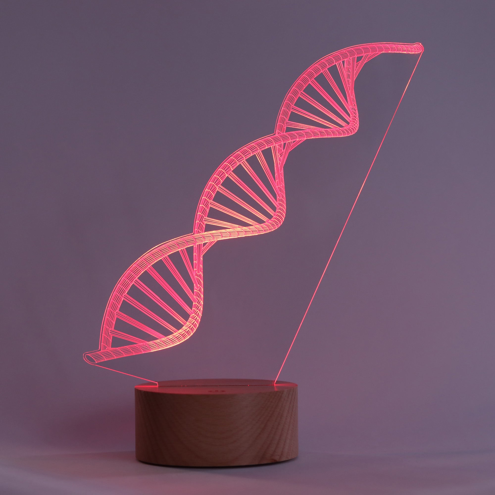 DNA Double Helix Figured Decorative Gift Led Table Lamp | BYLAMP