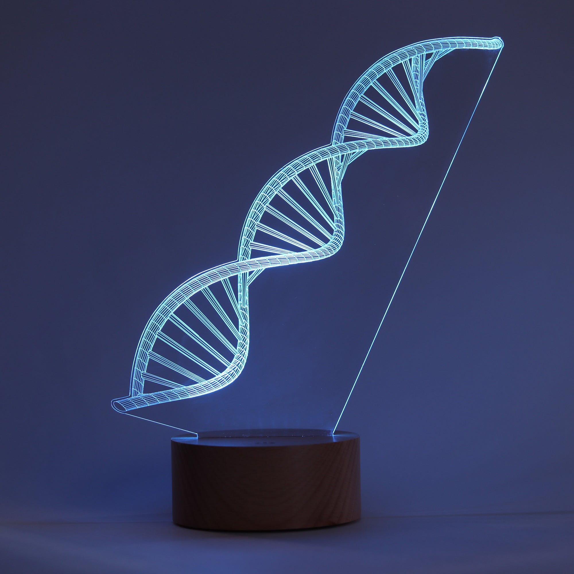 DNA Double Helix Figured Decorative Gift Led Table Lamp | BYLAMP