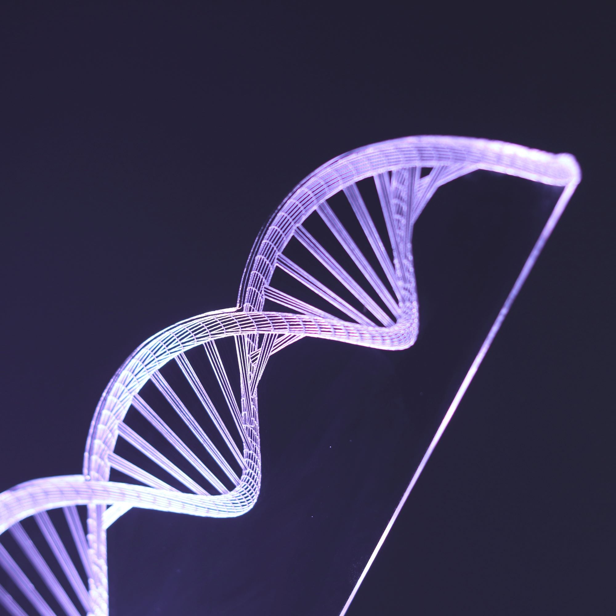 DNA Double Helix Figured Decorative Gift Led Table Lamp | BYLAMP