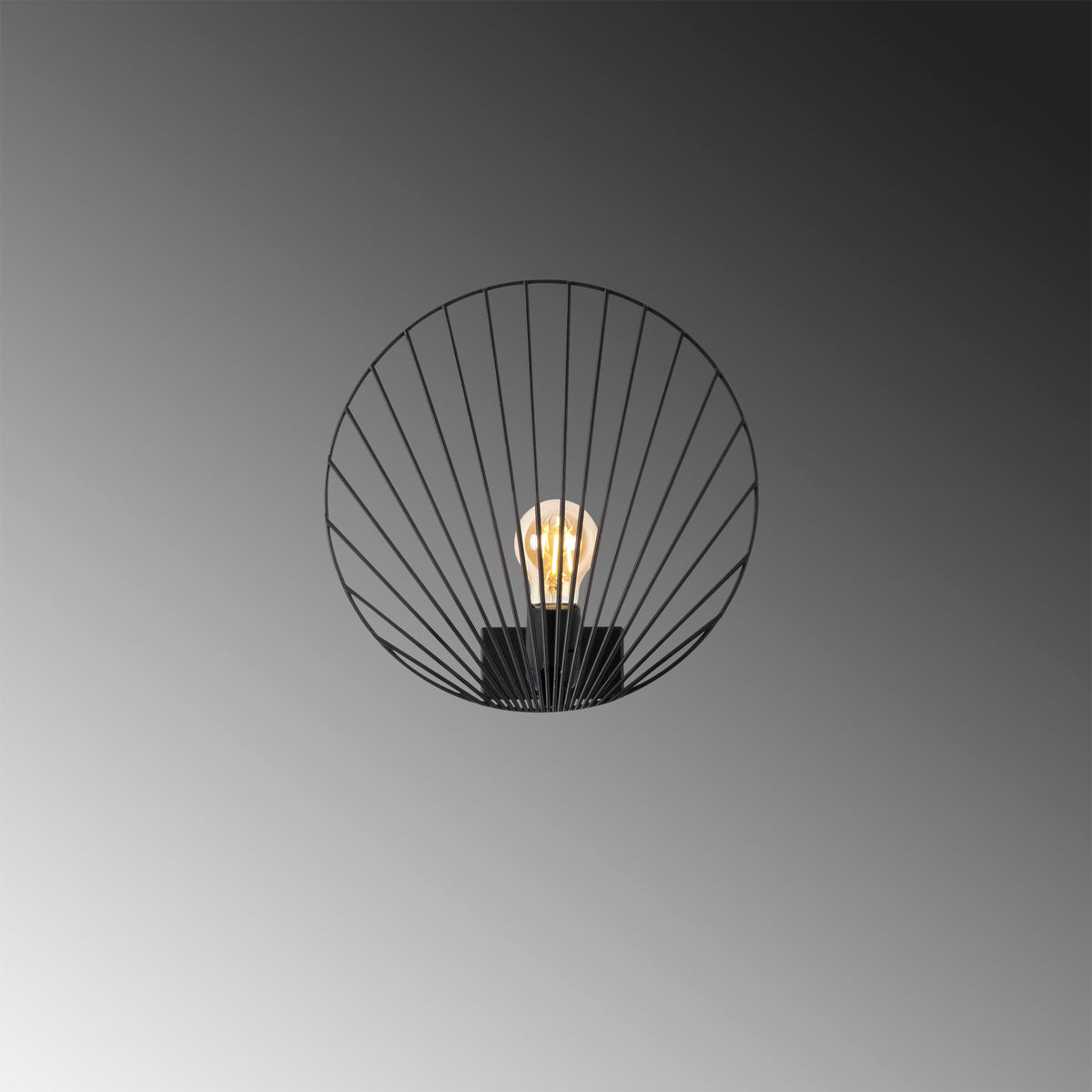 Oceanara 3291 Tel Aplik Duvar Aydınlatma | ByLamp