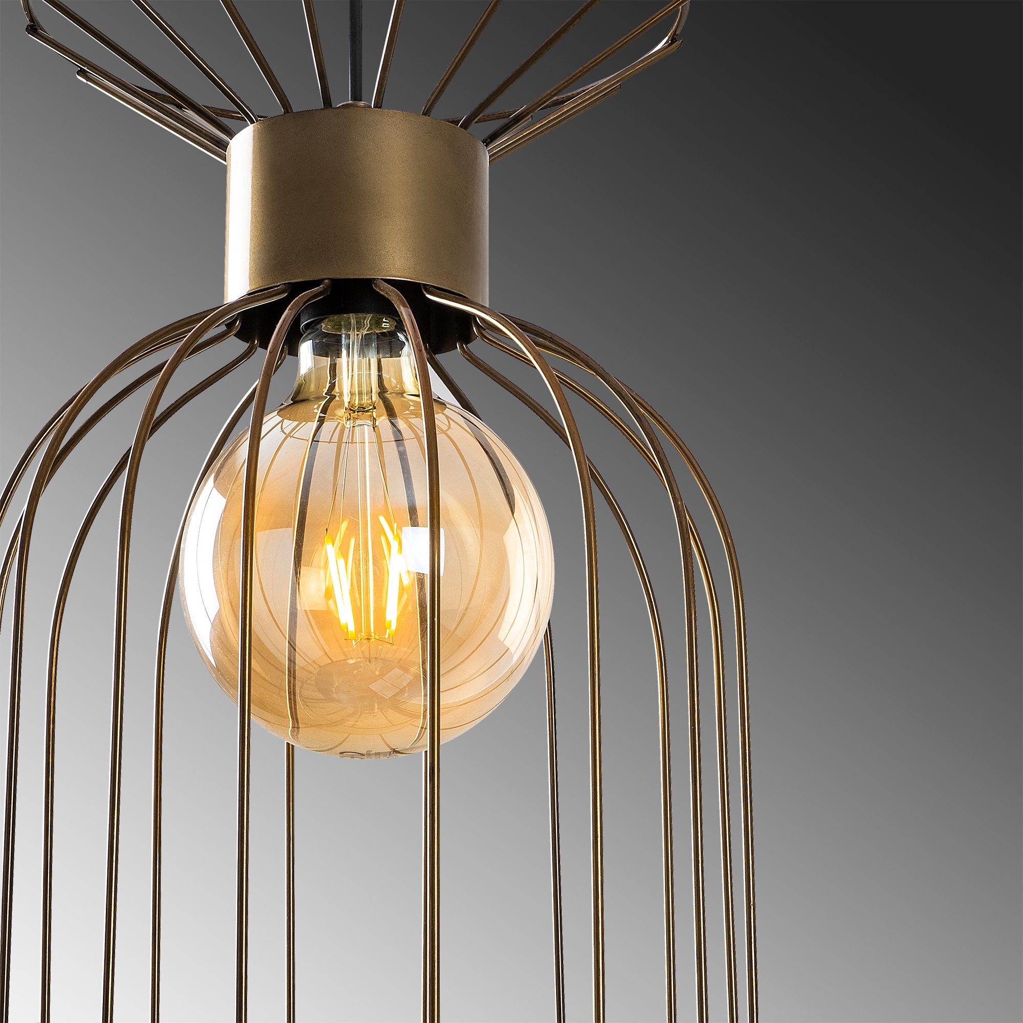 Kadeh Tel Nus 2881 Tel Sarkıt Aydınlatma | ByLamp