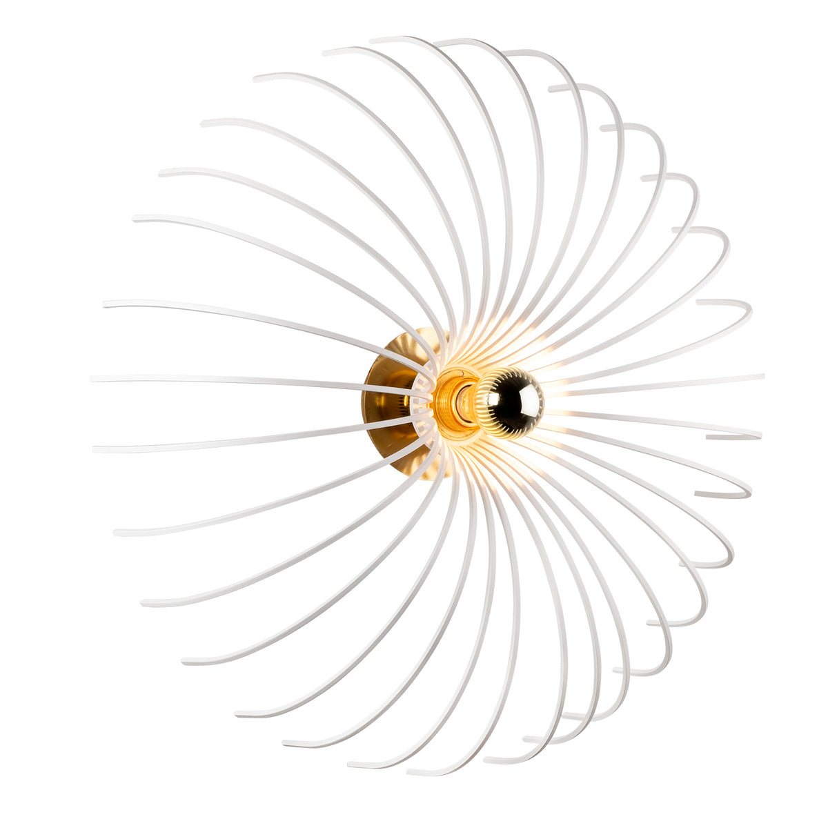 Peony 644 Tel Aplik Duvar Aydınlatma | ByLamp