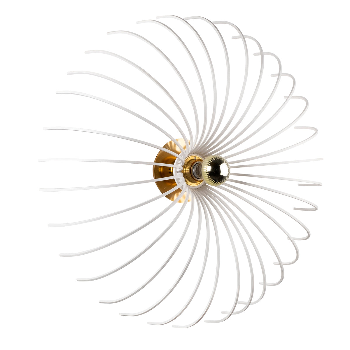 Peony 644 Tel Aplik Duvar Aydınlatma | ByLamp