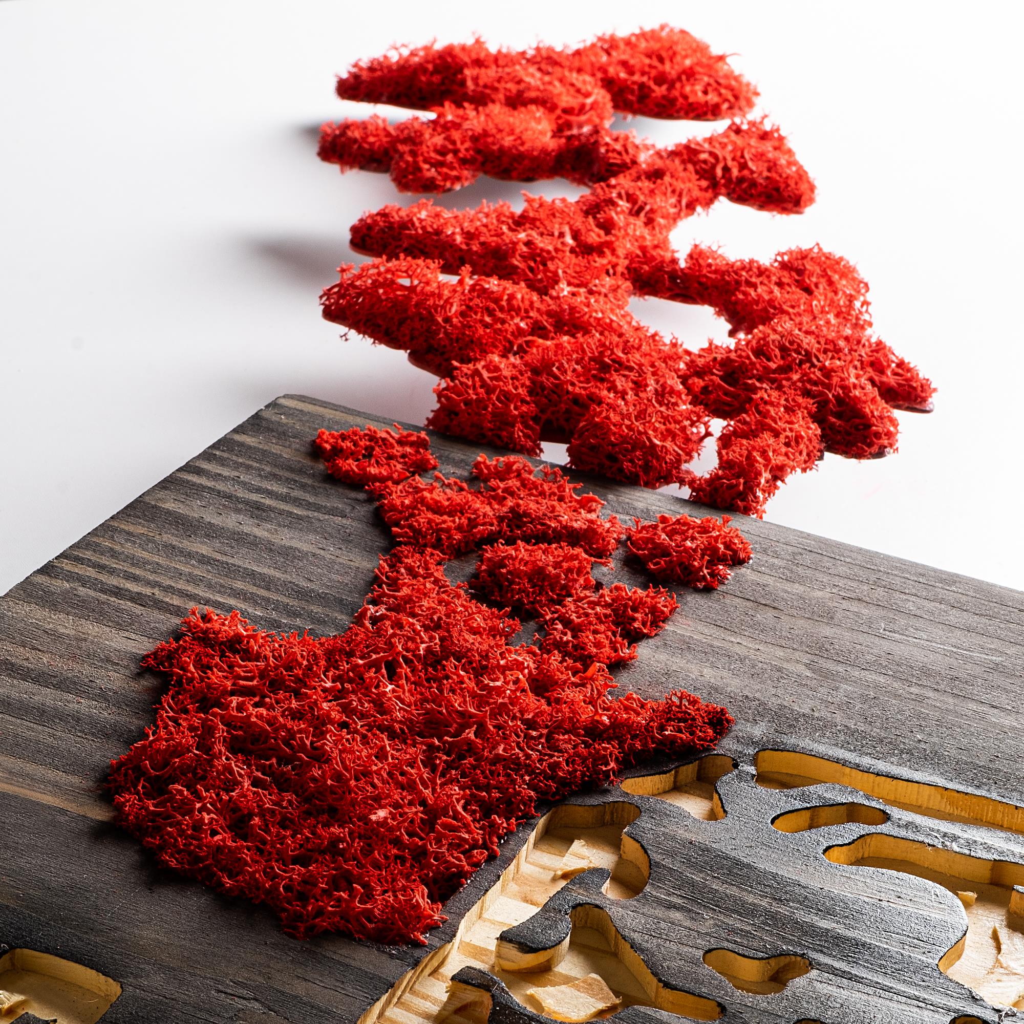 MA-367-A Dekoratif Yosun Duvar Tablosu | ByLamp