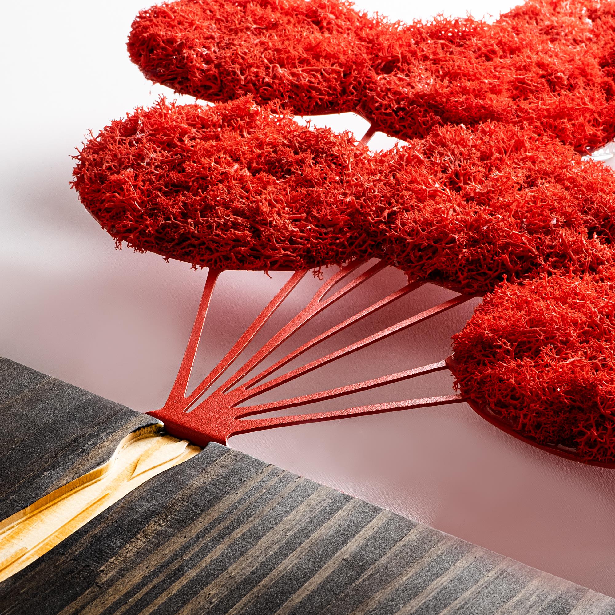 MA-368-A Dekoratif Yosun Duvar Tablosu | ByLamp