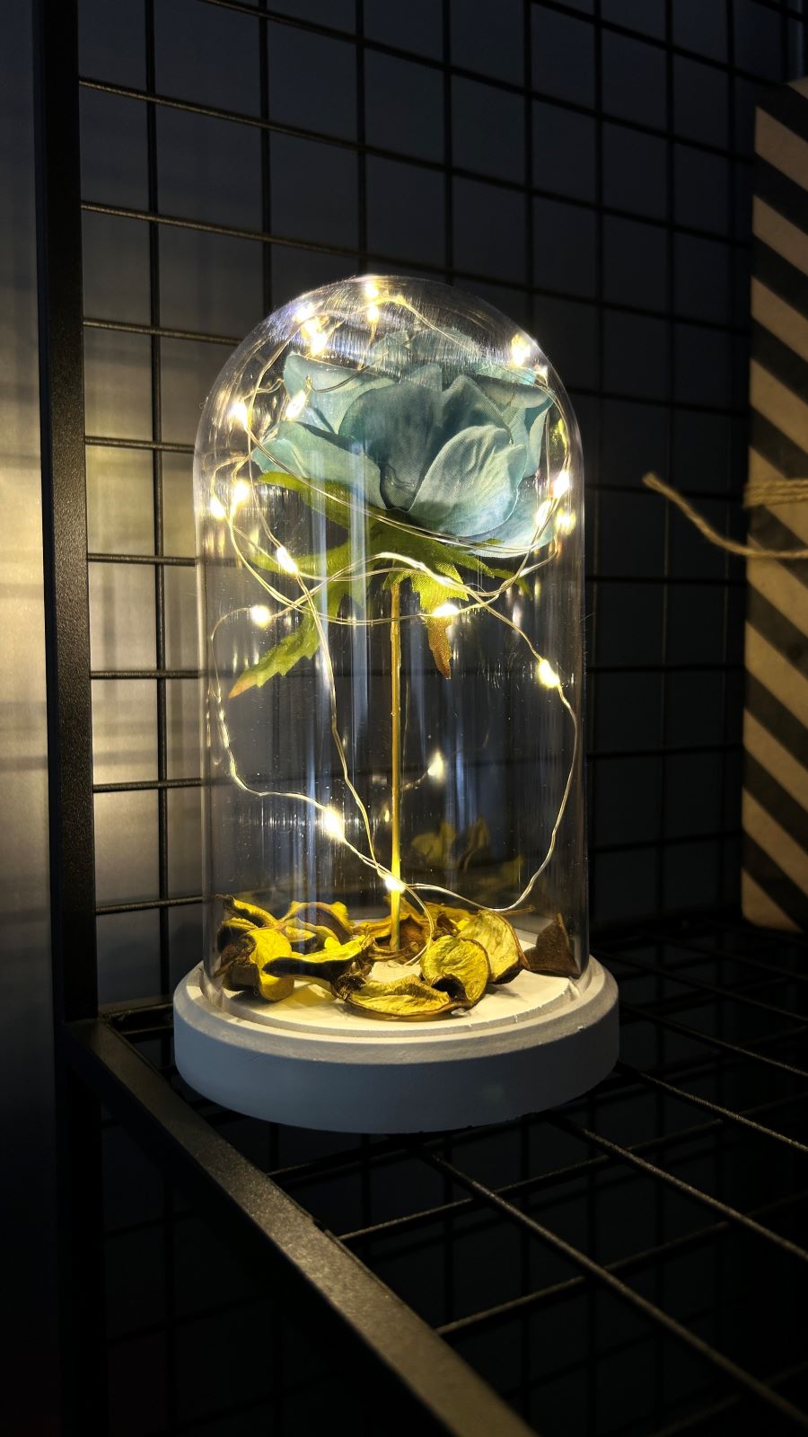 Blue rose illuminated glass fanus lamp