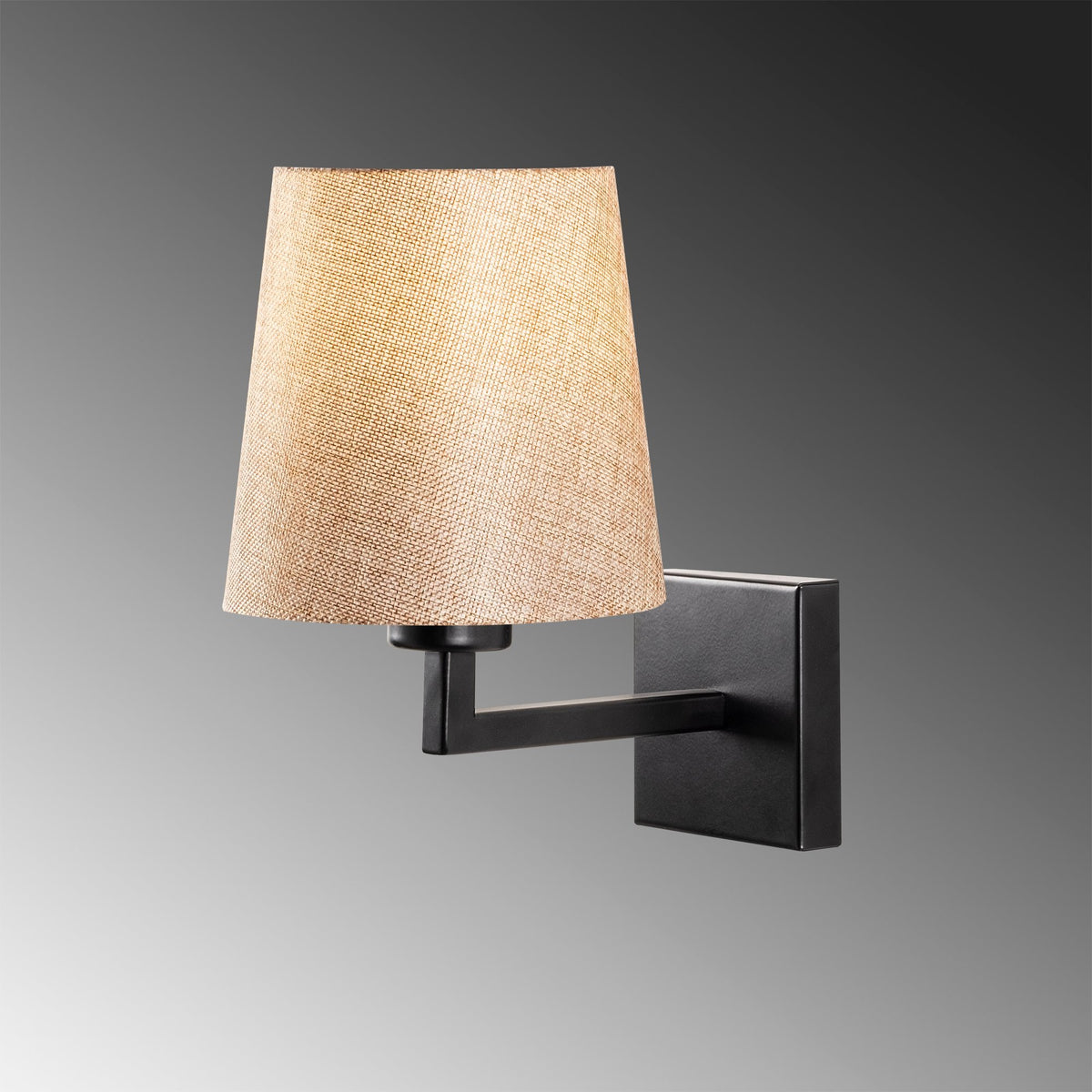 Delphinium 4656 Abajur Aplik Duvar Aydınlatma | ByLamp