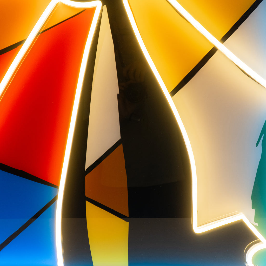 Renkli Soyut Kedi Neon Lamba | ByLamp