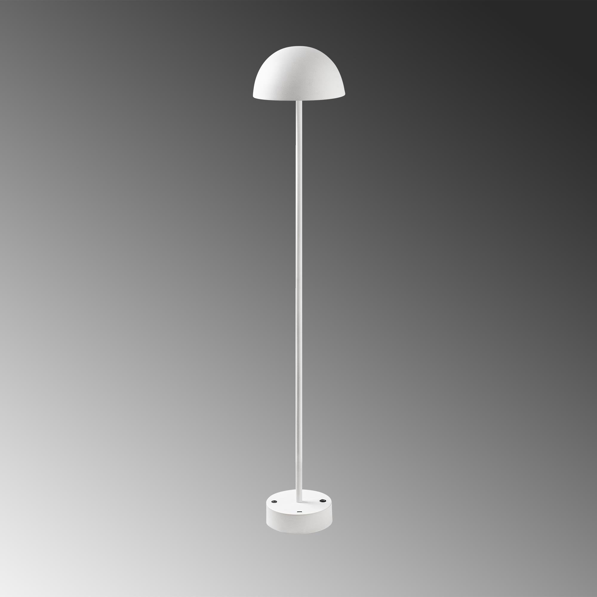 Sept 13378 Led Lambader Aydınlatma | ByLamp