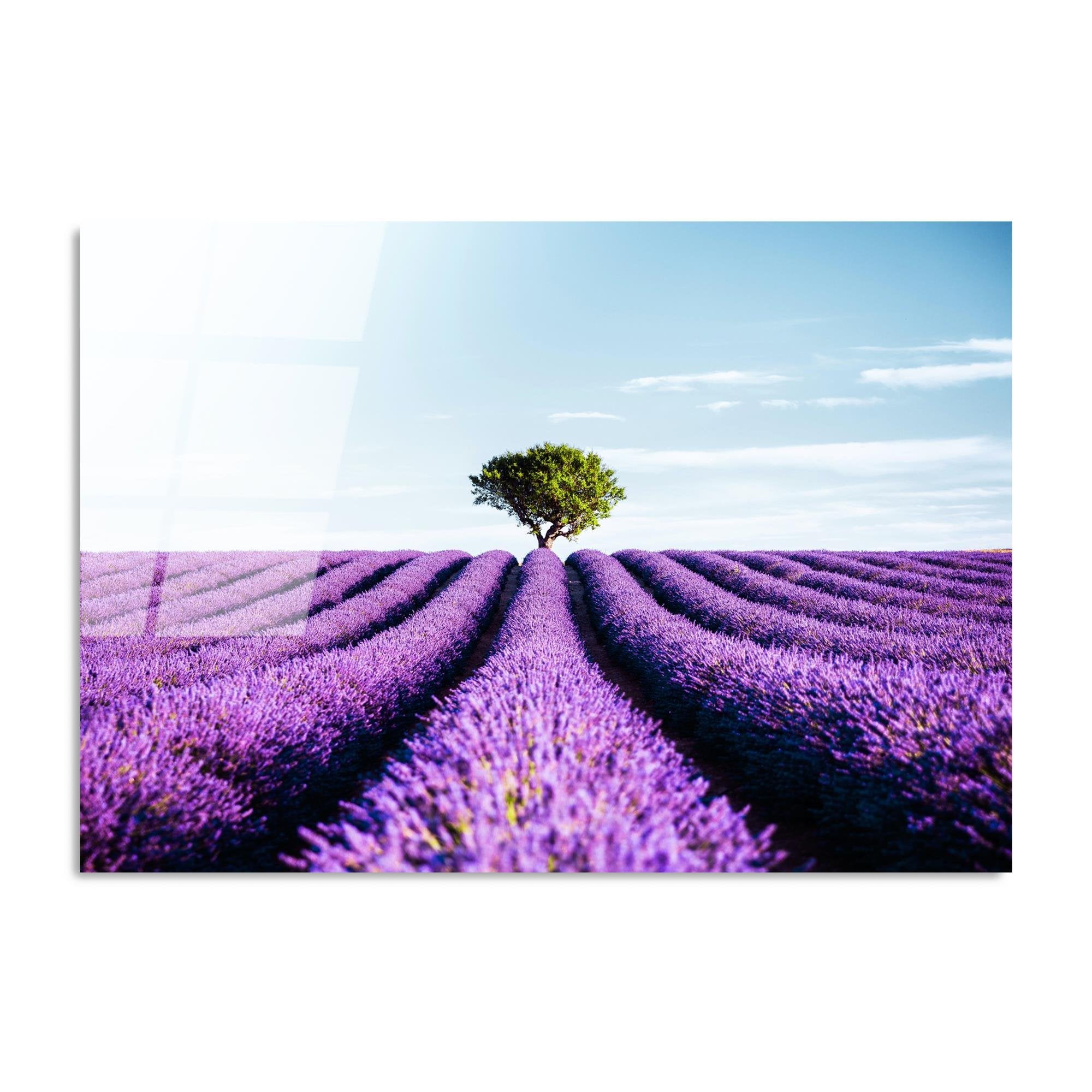 UV-107 Baskılı Cam Dikdörtgen Duvar Tablosu | ByLamp