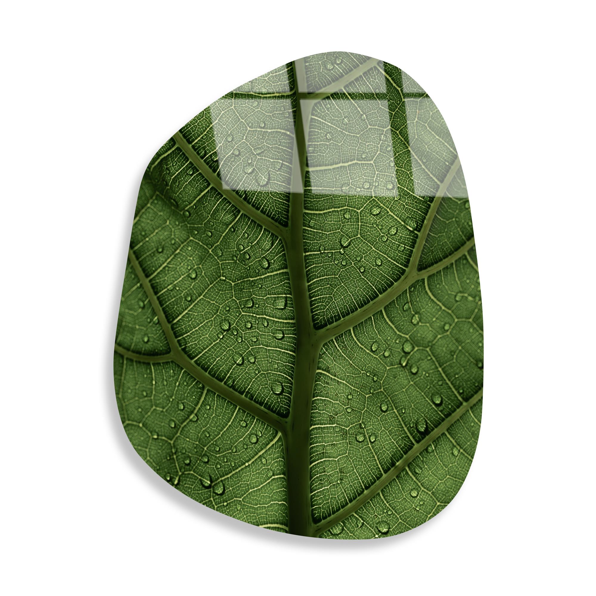 UV-1099 Baskılı Cam Amorf Duvar Tablosu | ByLamp