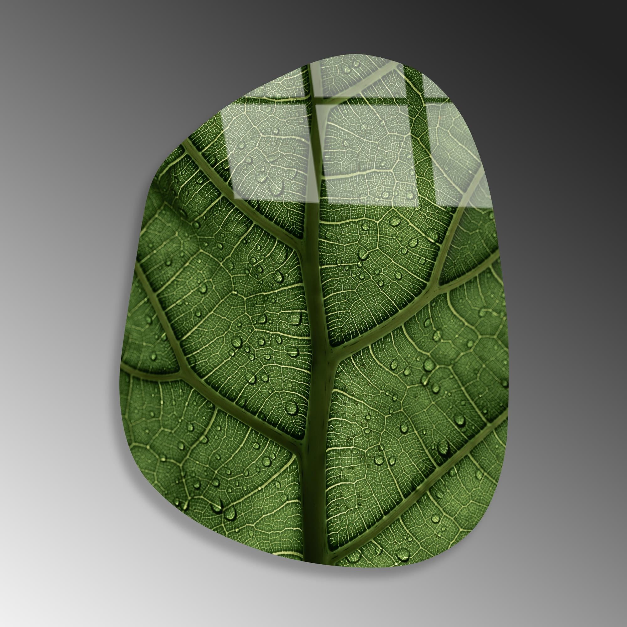 UV-1099 Baskılı Cam Amorf Duvar Tablosu | ByLamp