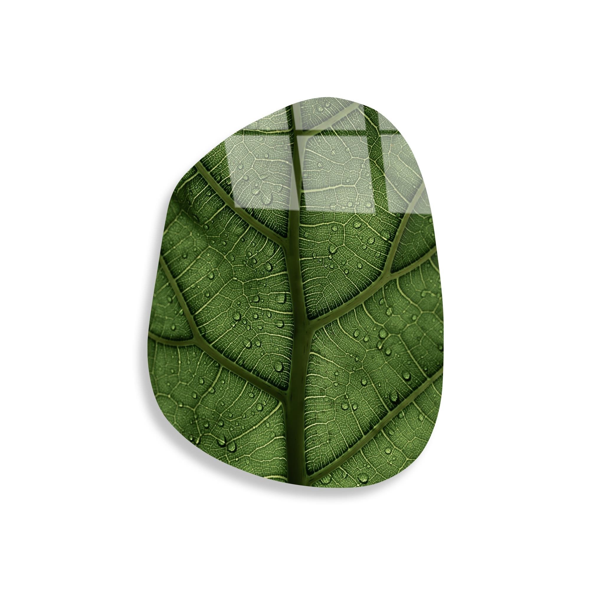 UV-1119 Baskılı Cam Amorf Duvar Tablosu | ByLamp