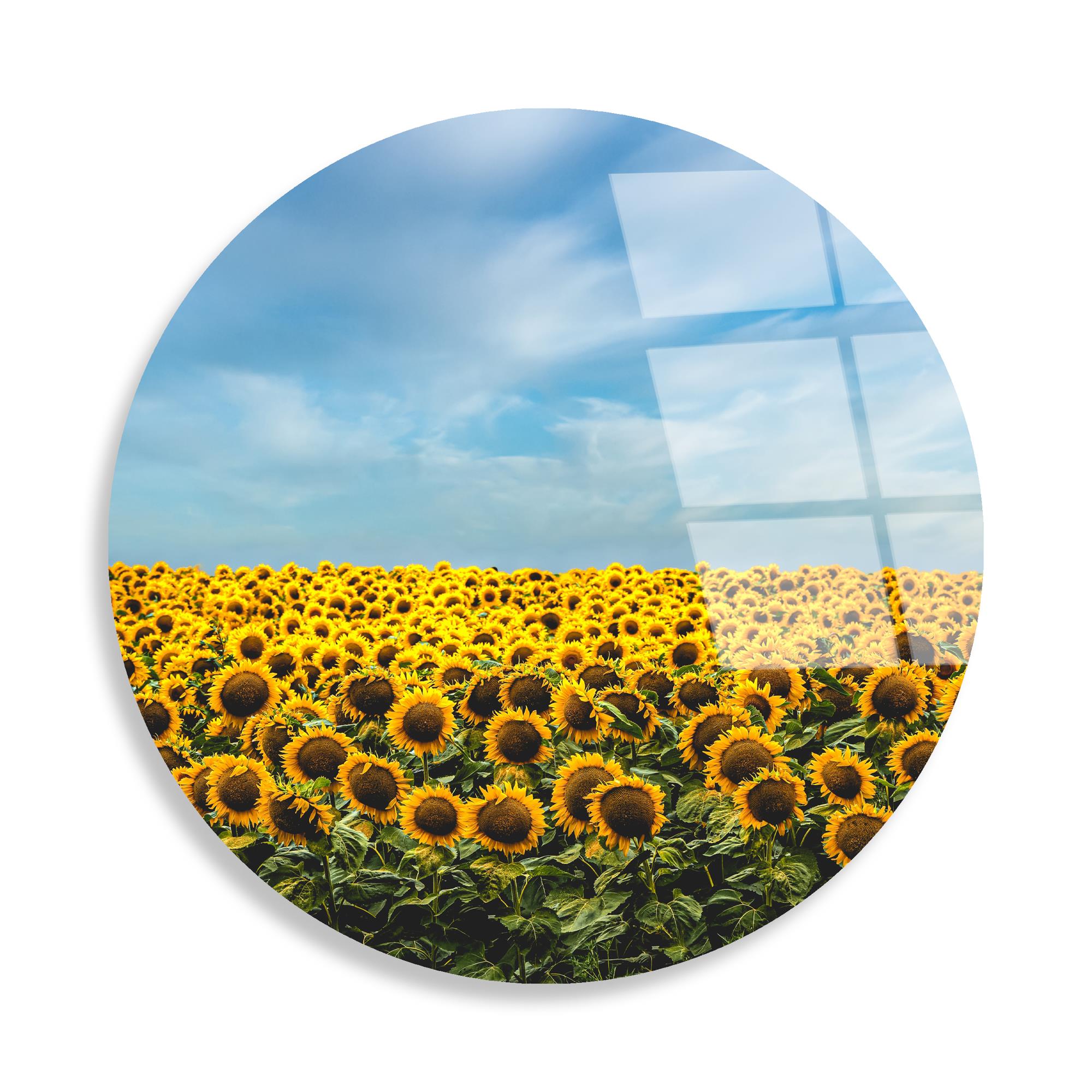 UV-1135 Baskılı Cam Yuvarlak Duvar Tablosu | ByLamp