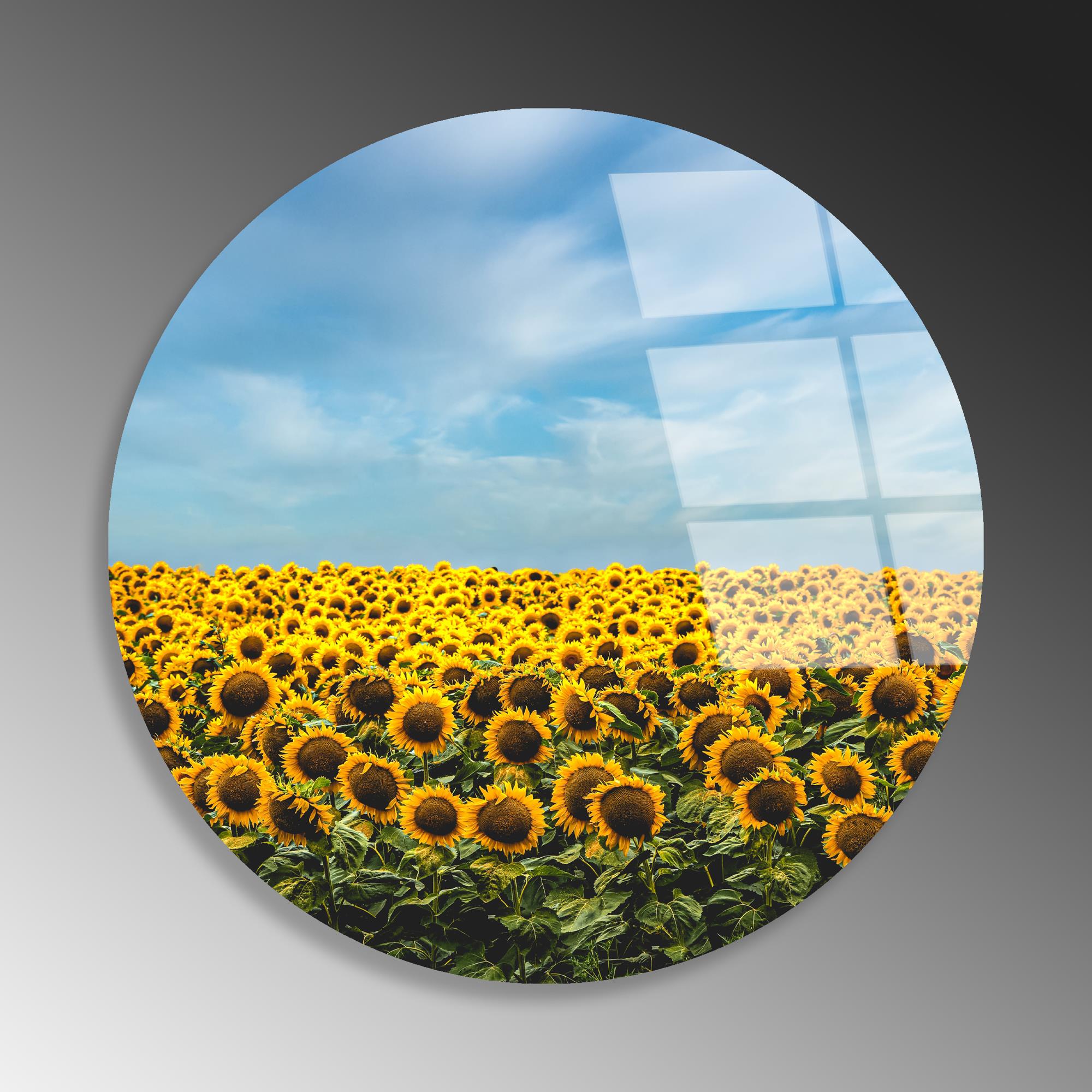 UV-1135 Baskılı Cam Yuvarlak Duvar Tablosu | ByLamp