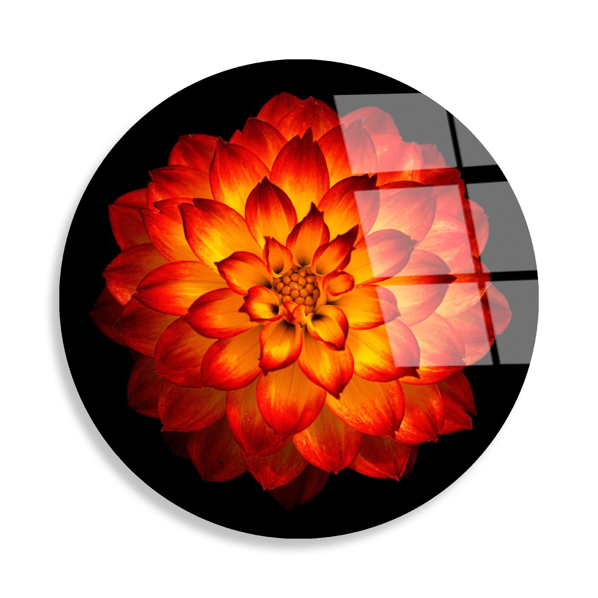 UV-1136 Baskılı Cam Yuvarlak Duvar Tablosu | ByLamp