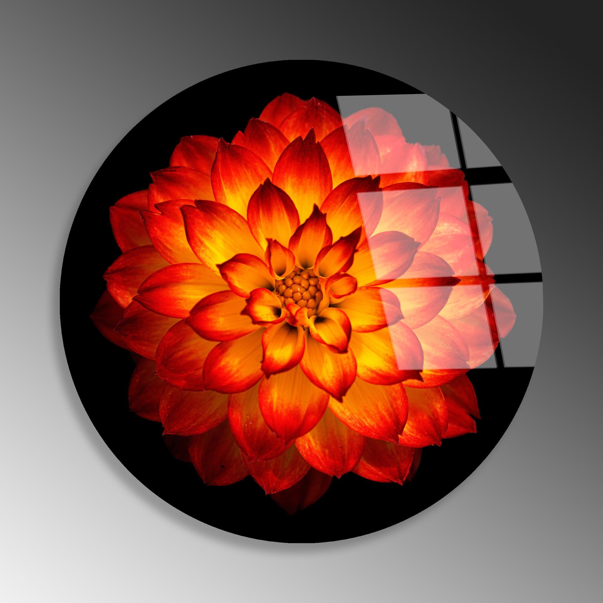 UV-1136 Baskılı Cam Yuvarlak Duvar Tablosu | ByLamp