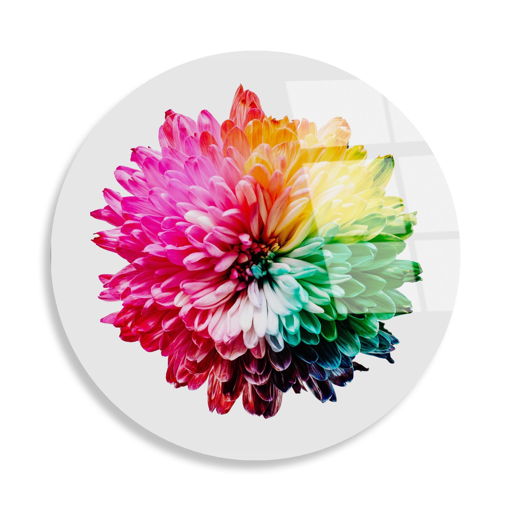 UV-1137 Baskılı Cam Yuvarlak Duvar Tablosu | ByLamp