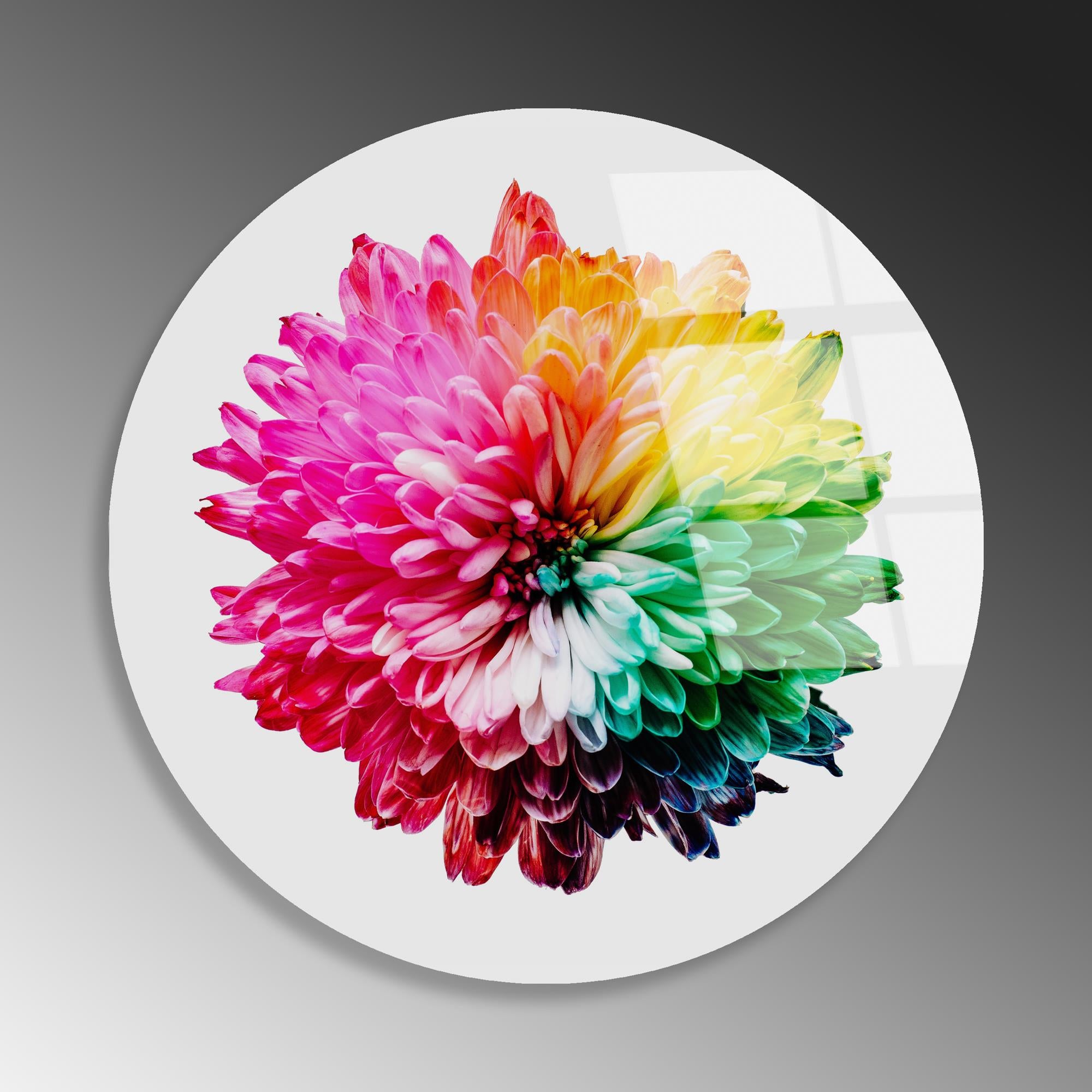 UV-1137 Baskılı Cam Yuvarlak Duvar Tablosu | ByLamp