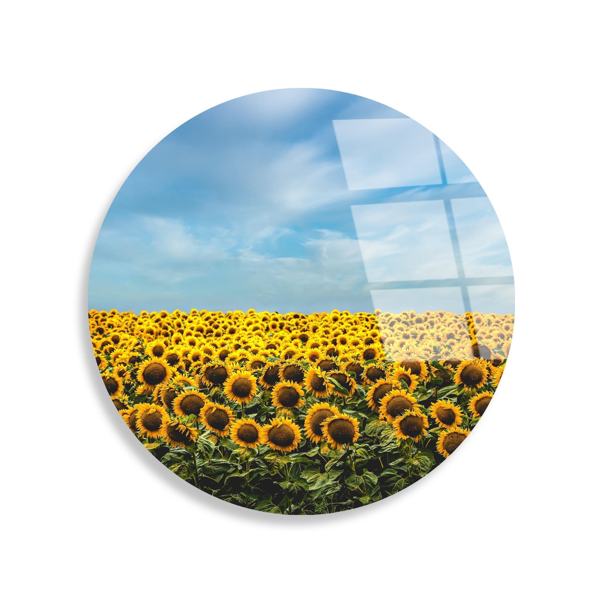 UV-1155 Baskılı Cam Yuvarlak Duvar Tablosu | ByLamp