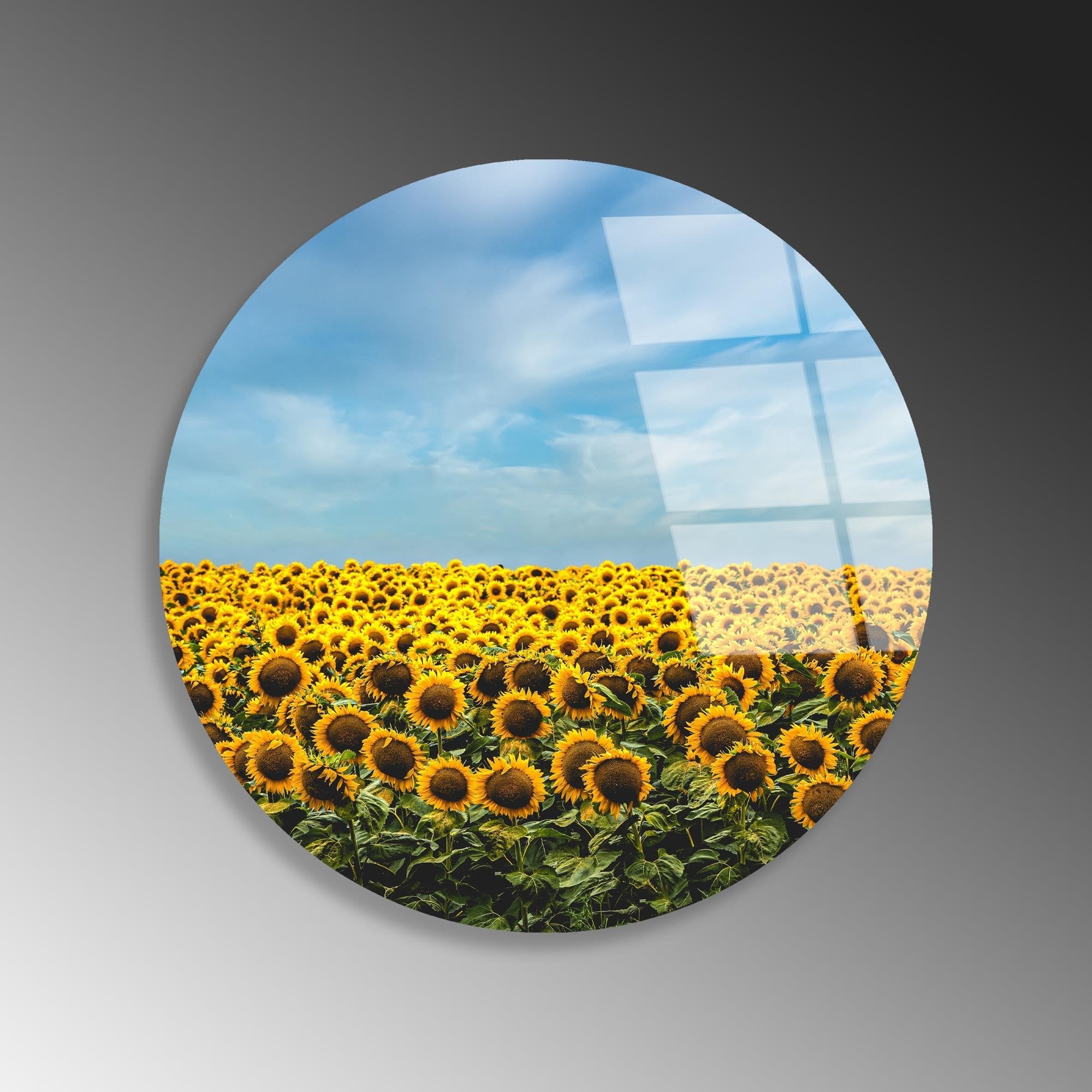 UV-1155 Baskılı Cam Yuvarlak Duvar Tablosu | ByLamp