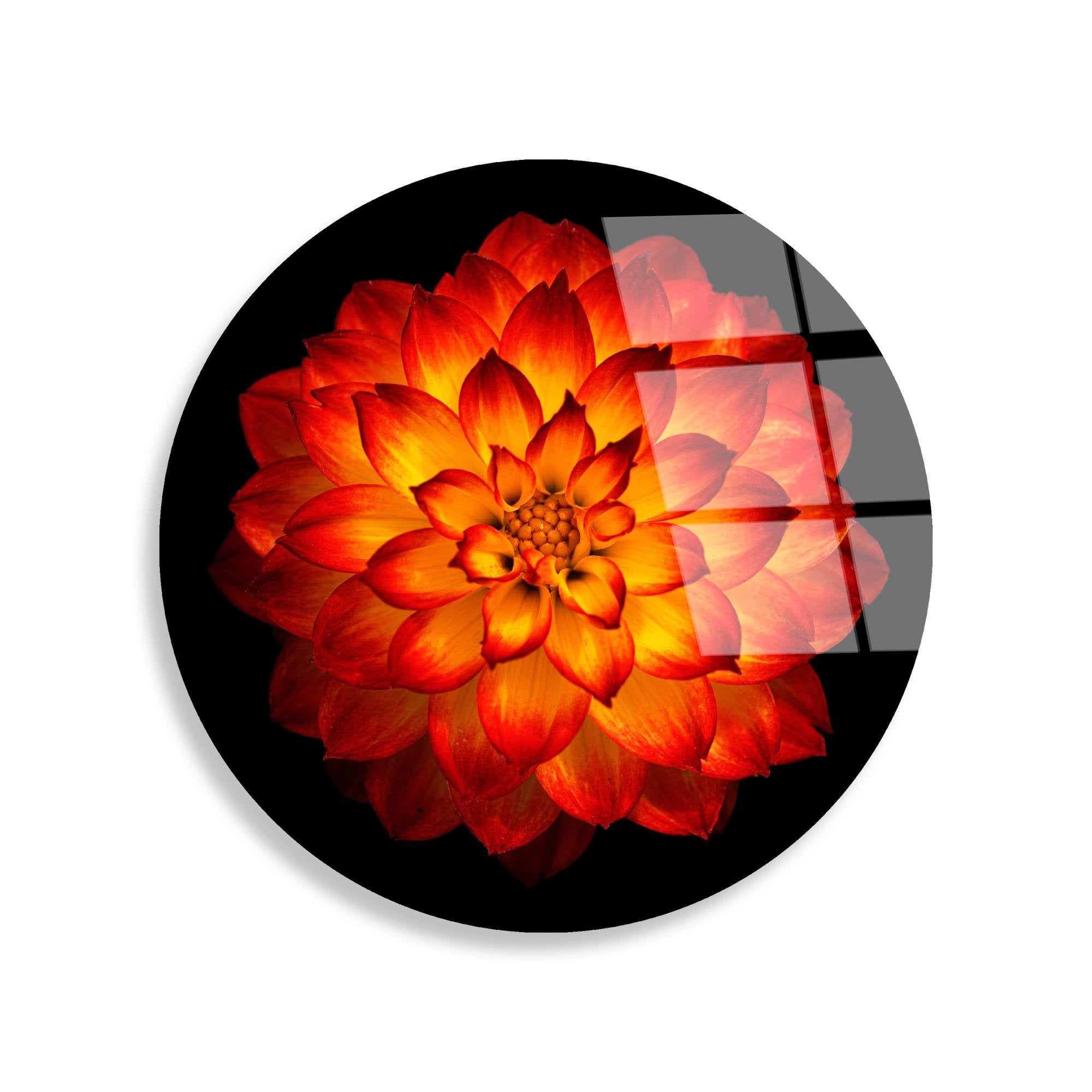 UV-1156 Baskılı Cam Yuvarlak Duvar Tablosu | ByLamp