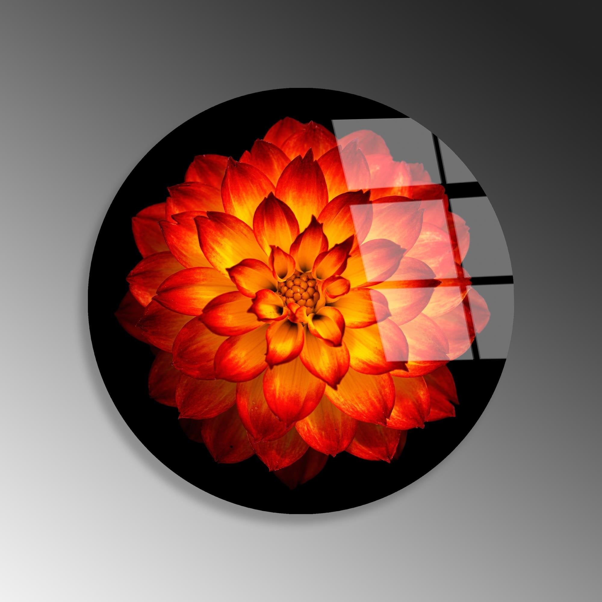 UV-1156 Baskılı Cam Yuvarlak Duvar Tablosu | ByLamp