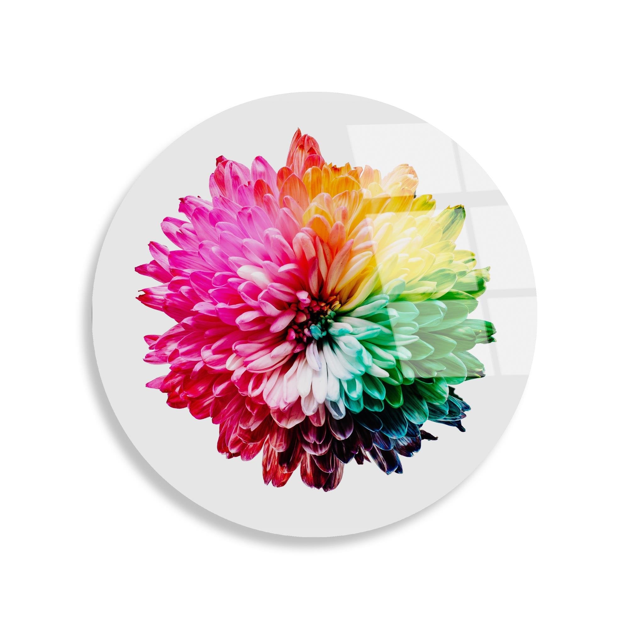 UV-1157 Baskılı Cam Yuvarlak Duvar Tablosu | ByLamp