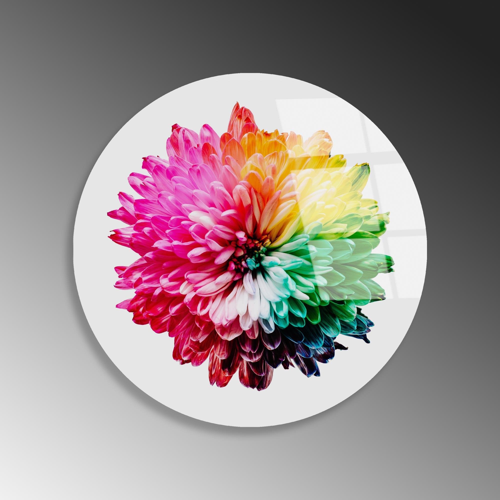 UV-1157 Baskılı Cam Yuvarlak Duvar Tablosu | ByLamp