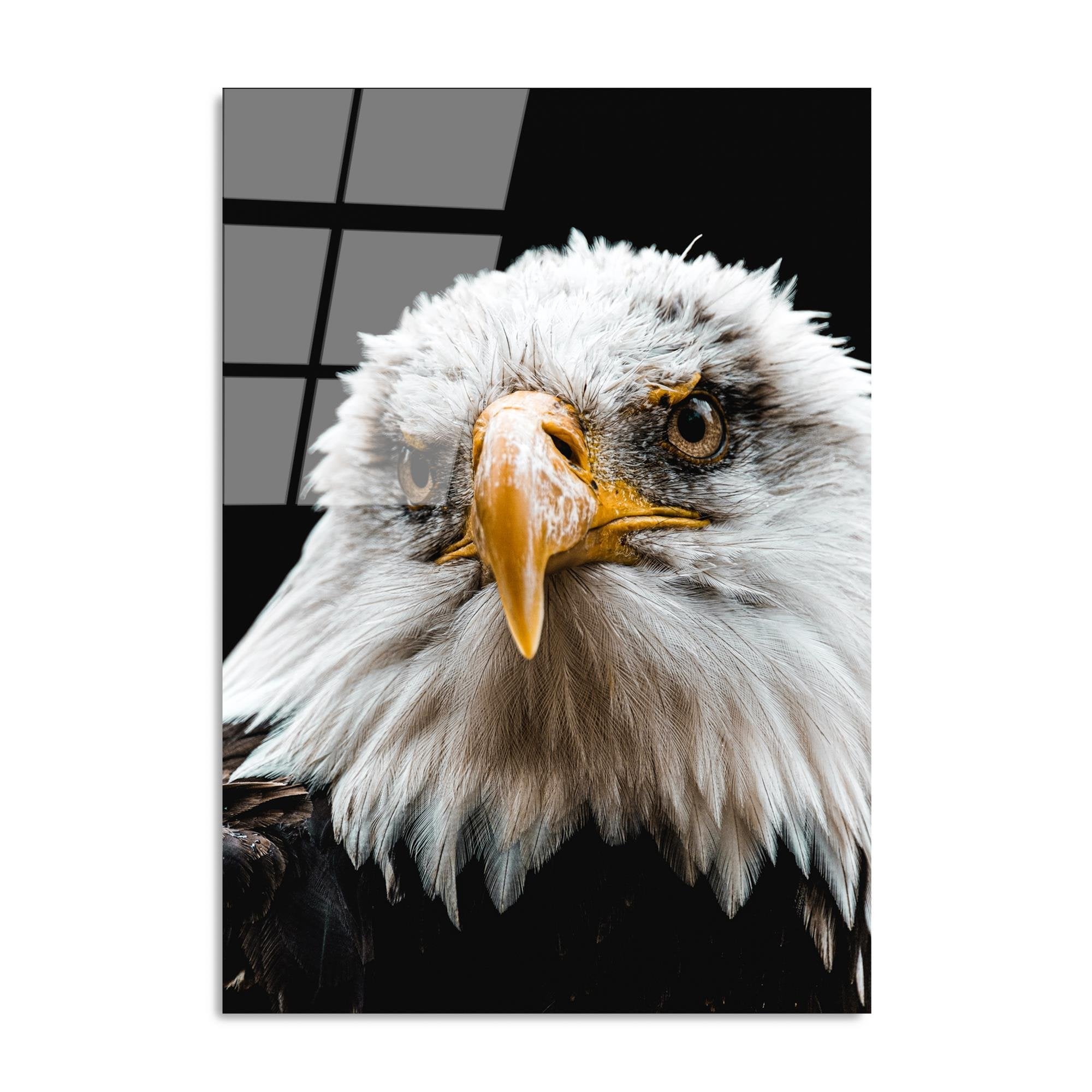 UV-144 Baskılı Cam Dikdörtgen Duvar Tablosu | ByLamp