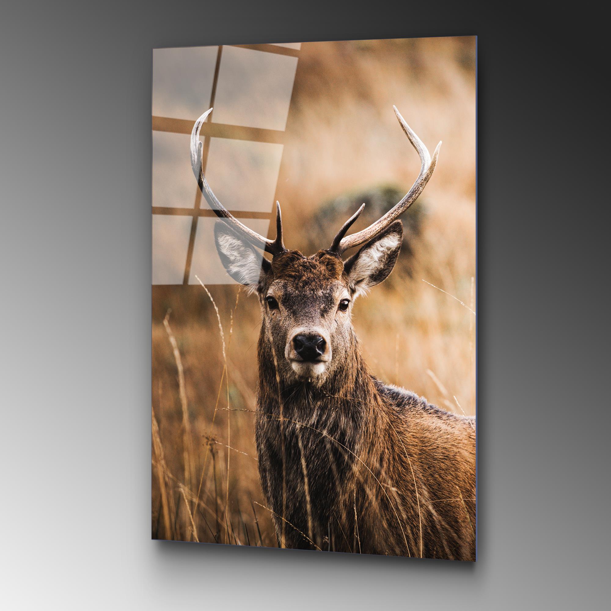 UV-147 Baskılı Cam Dikdörtgen Duvar Tablosu | ByLamp