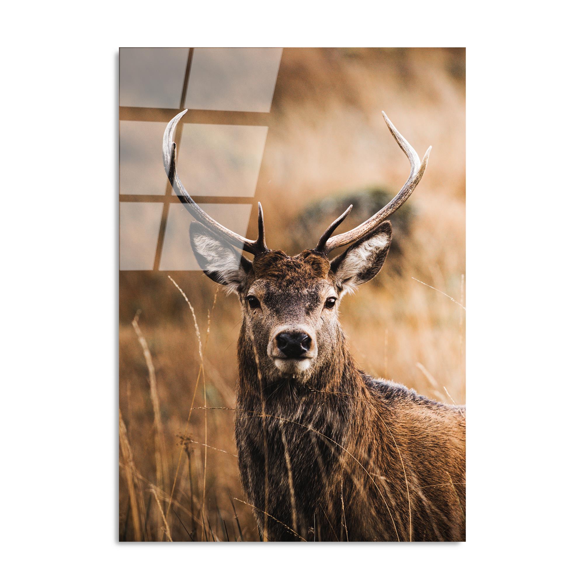 UV-147 Baskılı Cam Dikdörtgen Duvar Tablosu | ByLamp