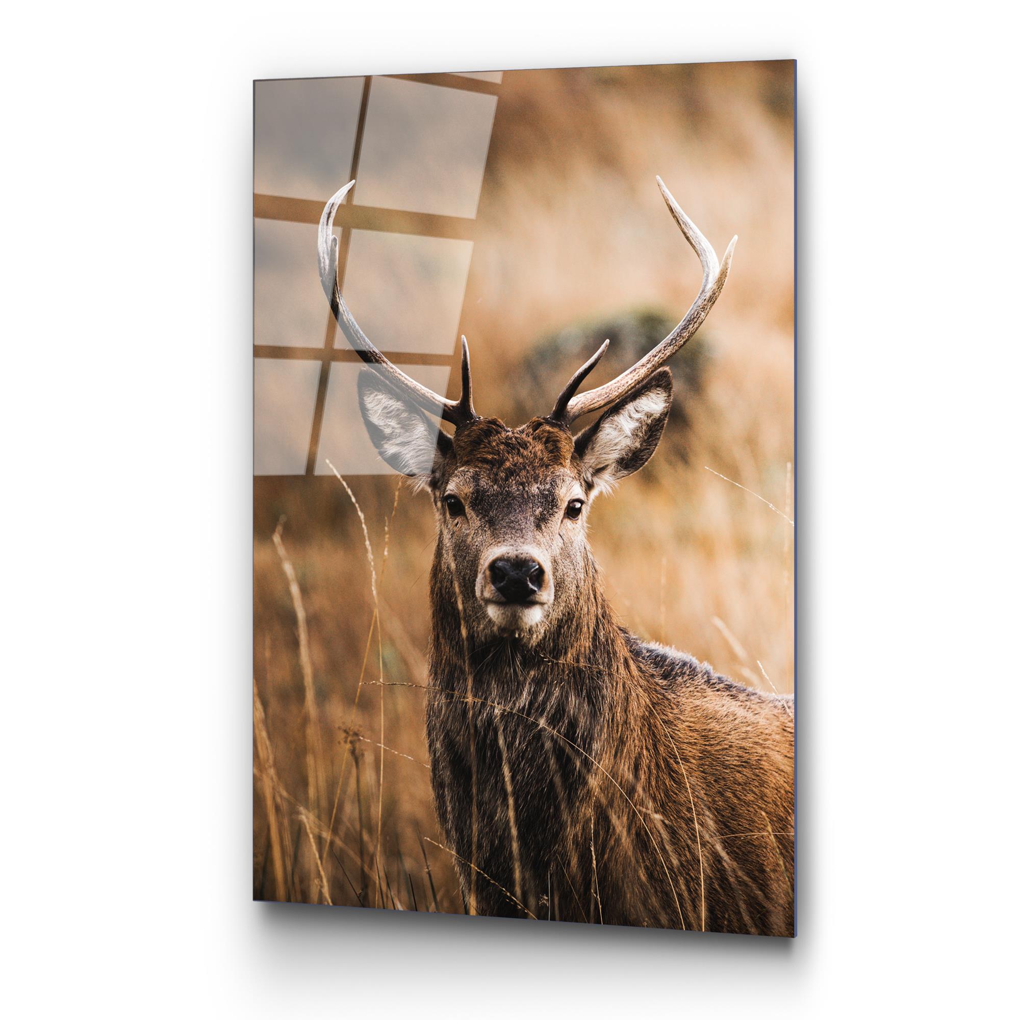 UV-147 Baskılı Cam Dikdörtgen Duvar Tablosu | ByLamp