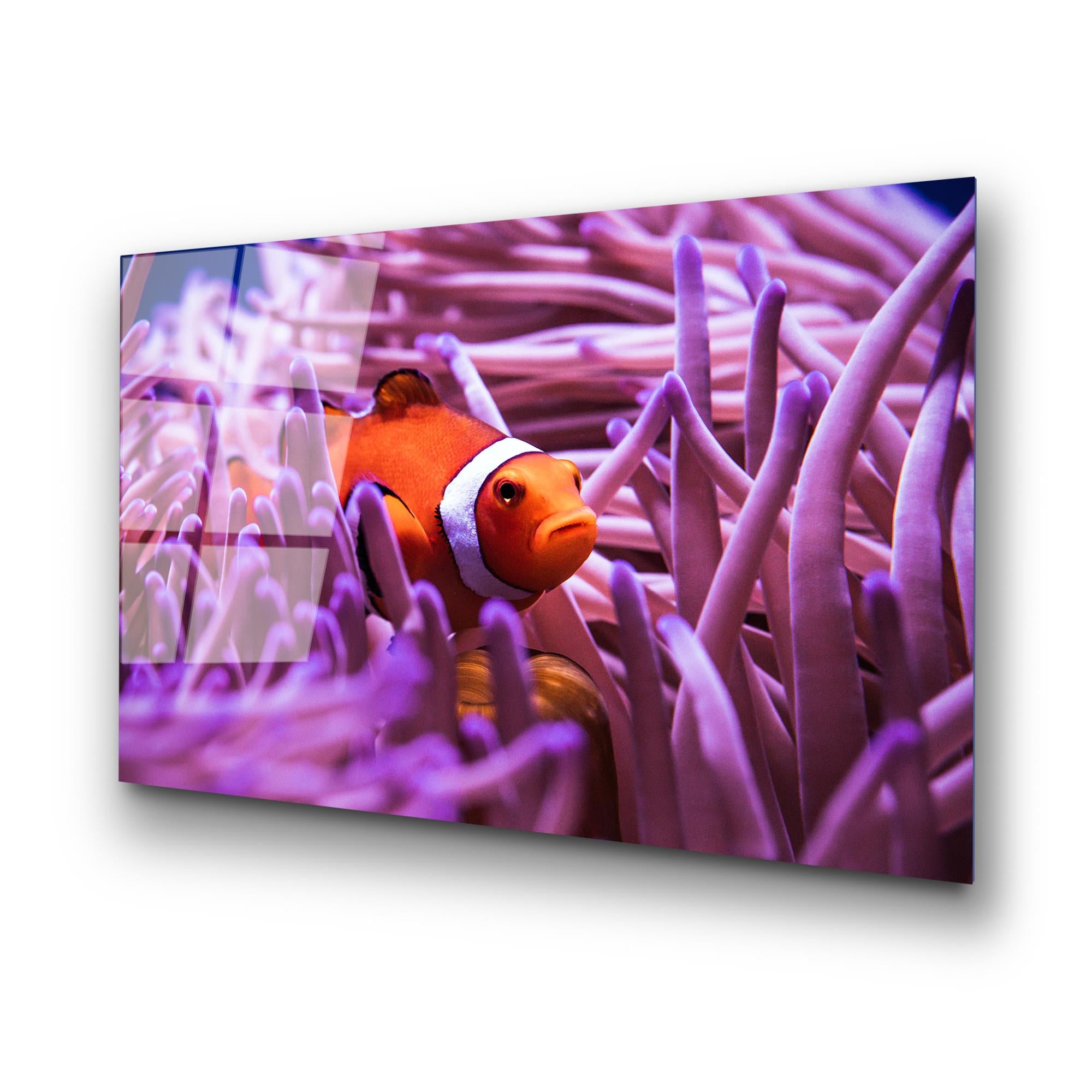 UV-149 Baskılı Cam Dikdörtgen Duvar Tablosu | ByLamp