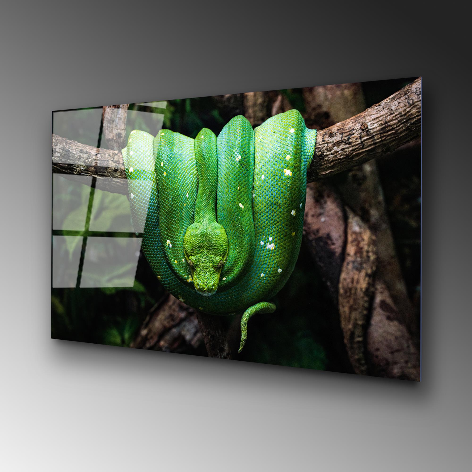 UV-151 Baskılı Cam Dikdörtgen Duvar Tablosu | ByLamp