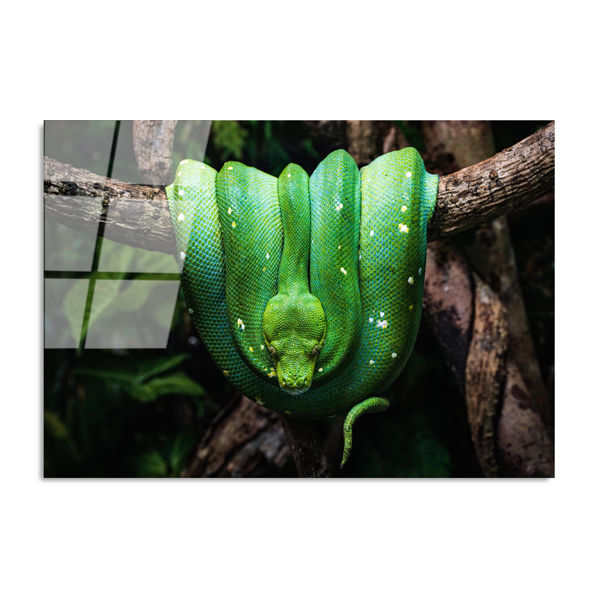 UV-151 Baskılı Cam Dikdörtgen Duvar Tablosu | ByLamp