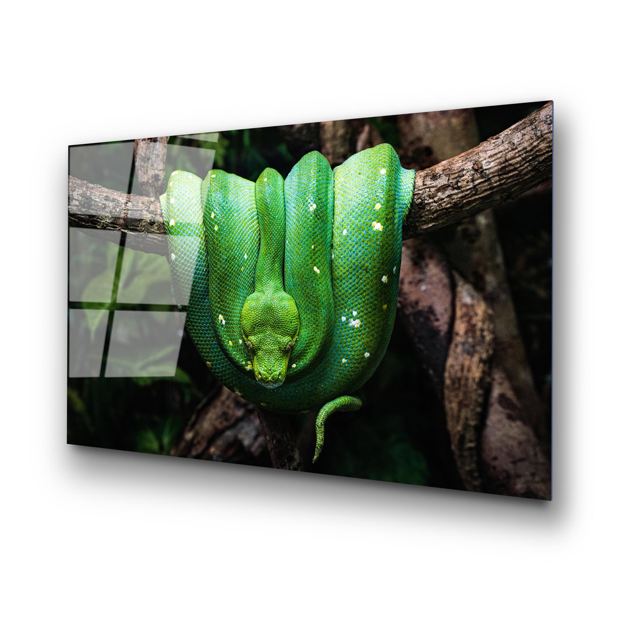 UV-151 Baskılı Cam Dikdörtgen Duvar Tablosu | ByLamp