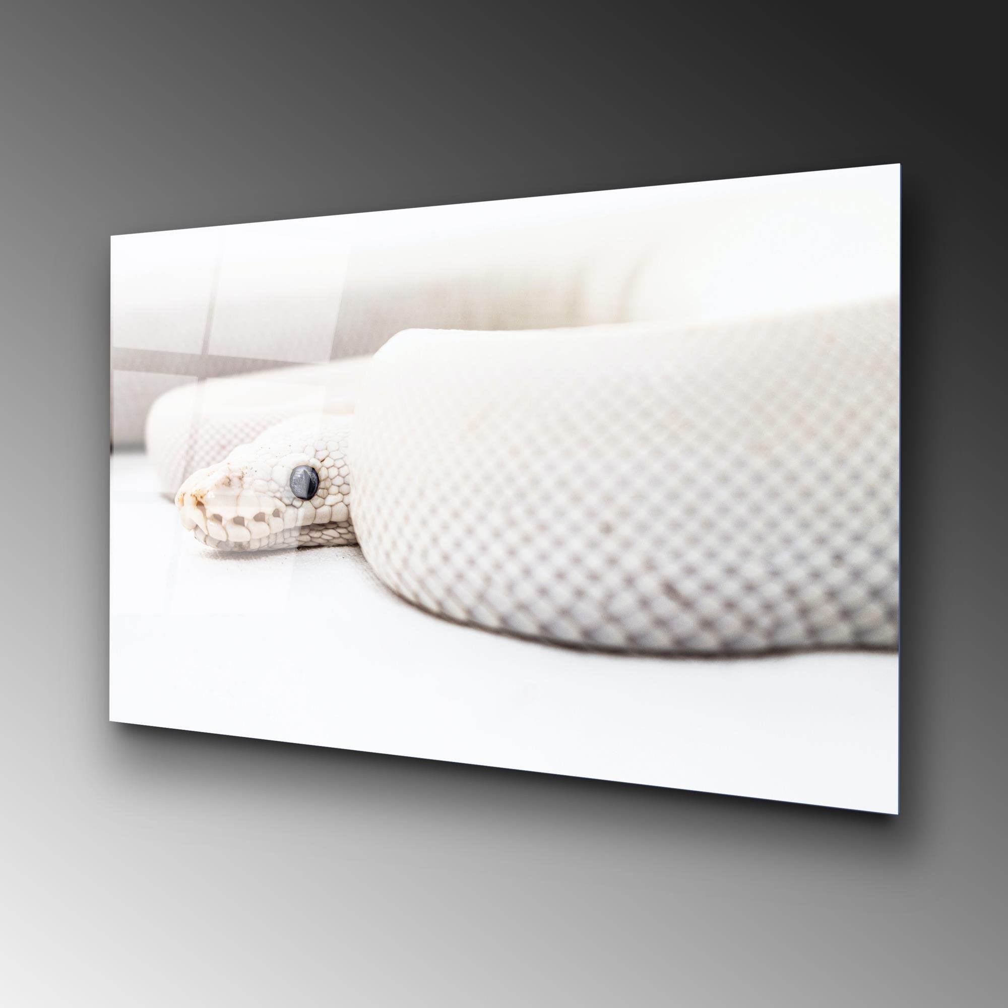 UV-153 Baskılı Cam Dikdörtgen Duvar Tablosu | ByLamp