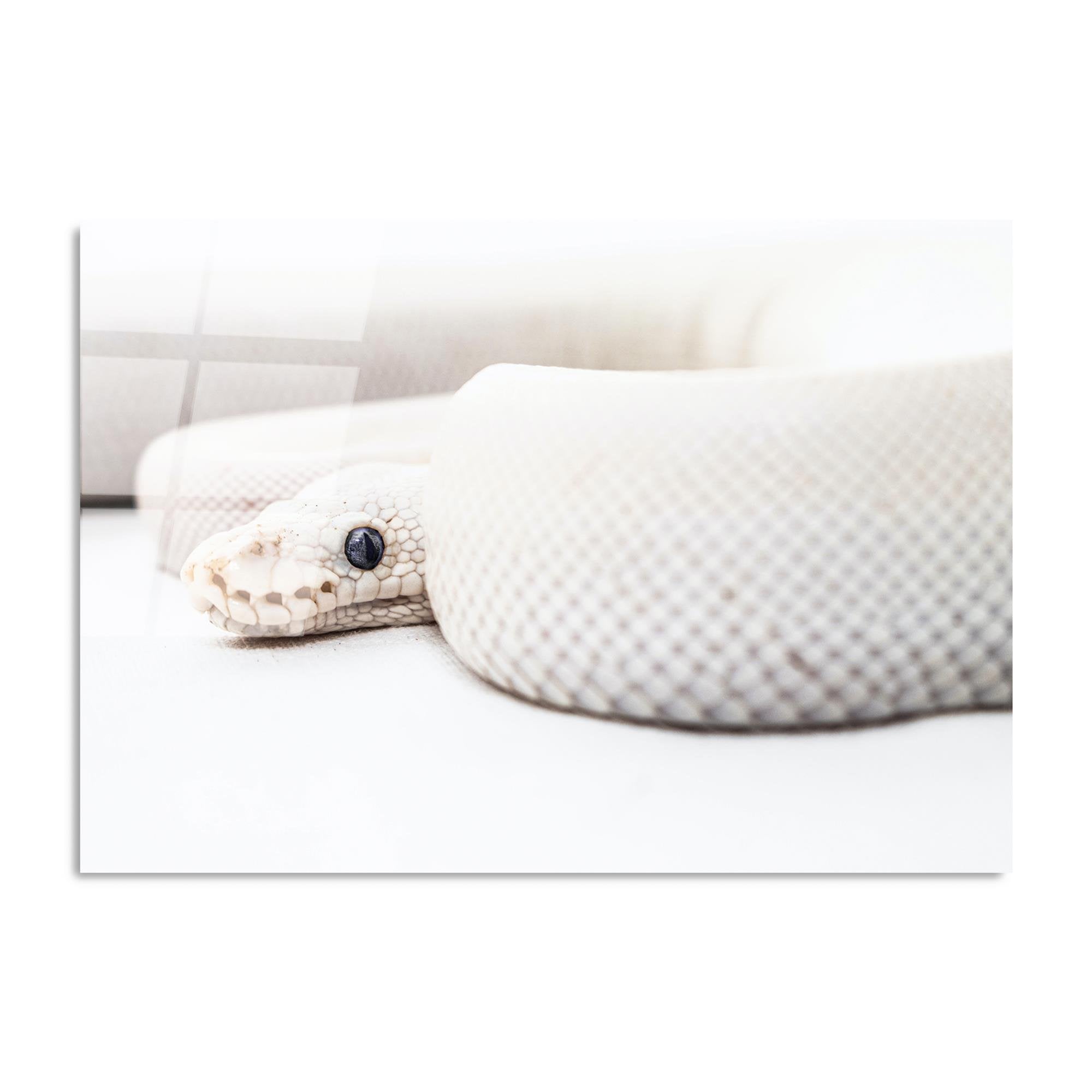 UV-153 Baskılı Cam Dikdörtgen Duvar Tablosu | ByLamp