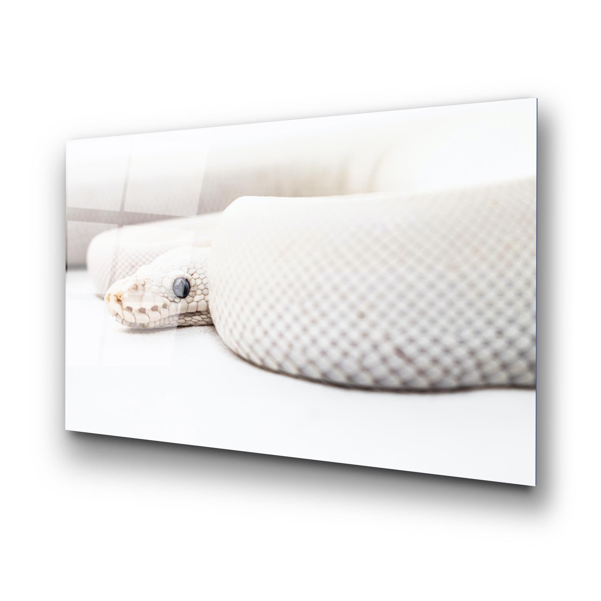 UV-153 Baskılı Cam Dikdörtgen Duvar Tablosu | ByLamp