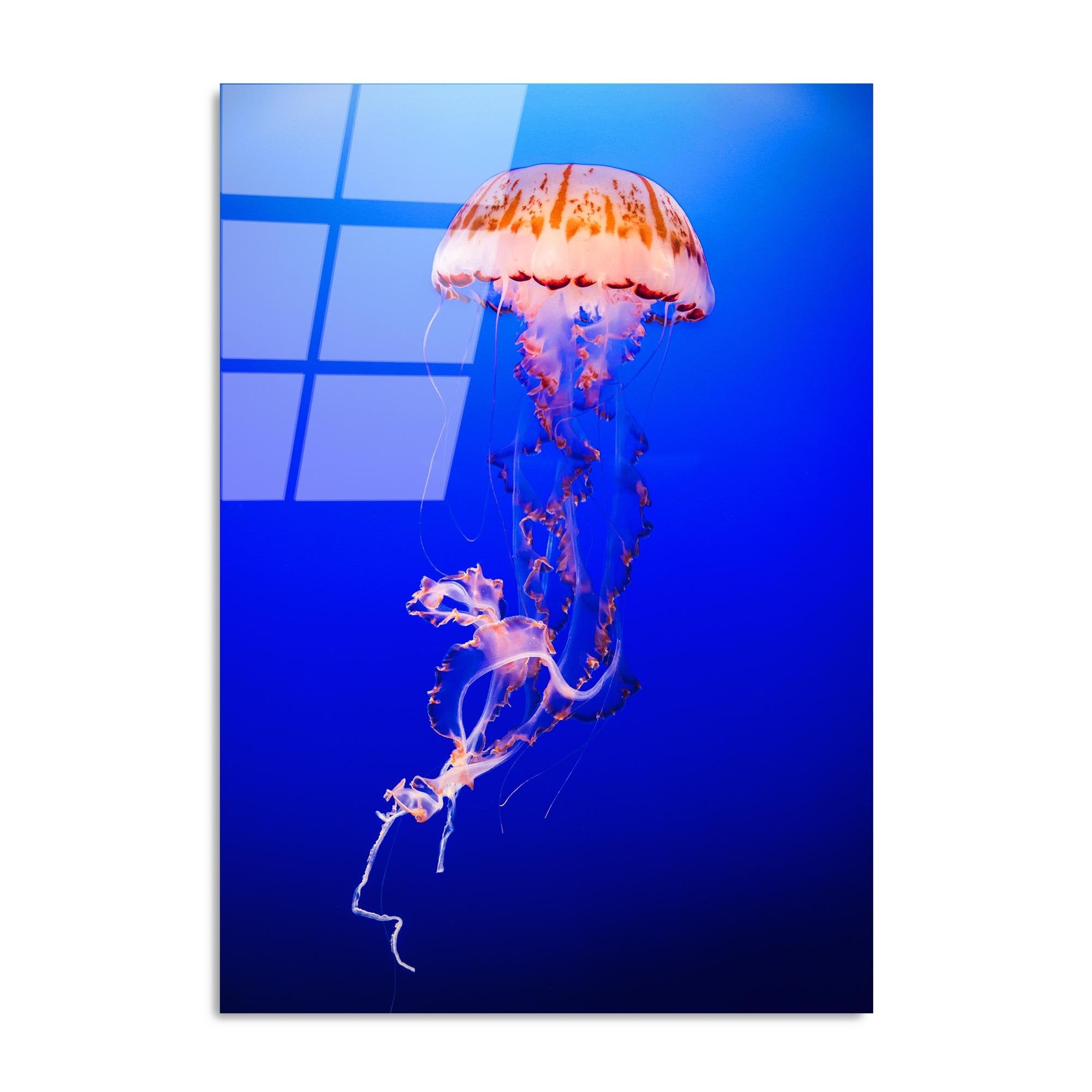 UV-154 Baskılı Cam Dikdörtgen Duvar Tablosu | ByLamp