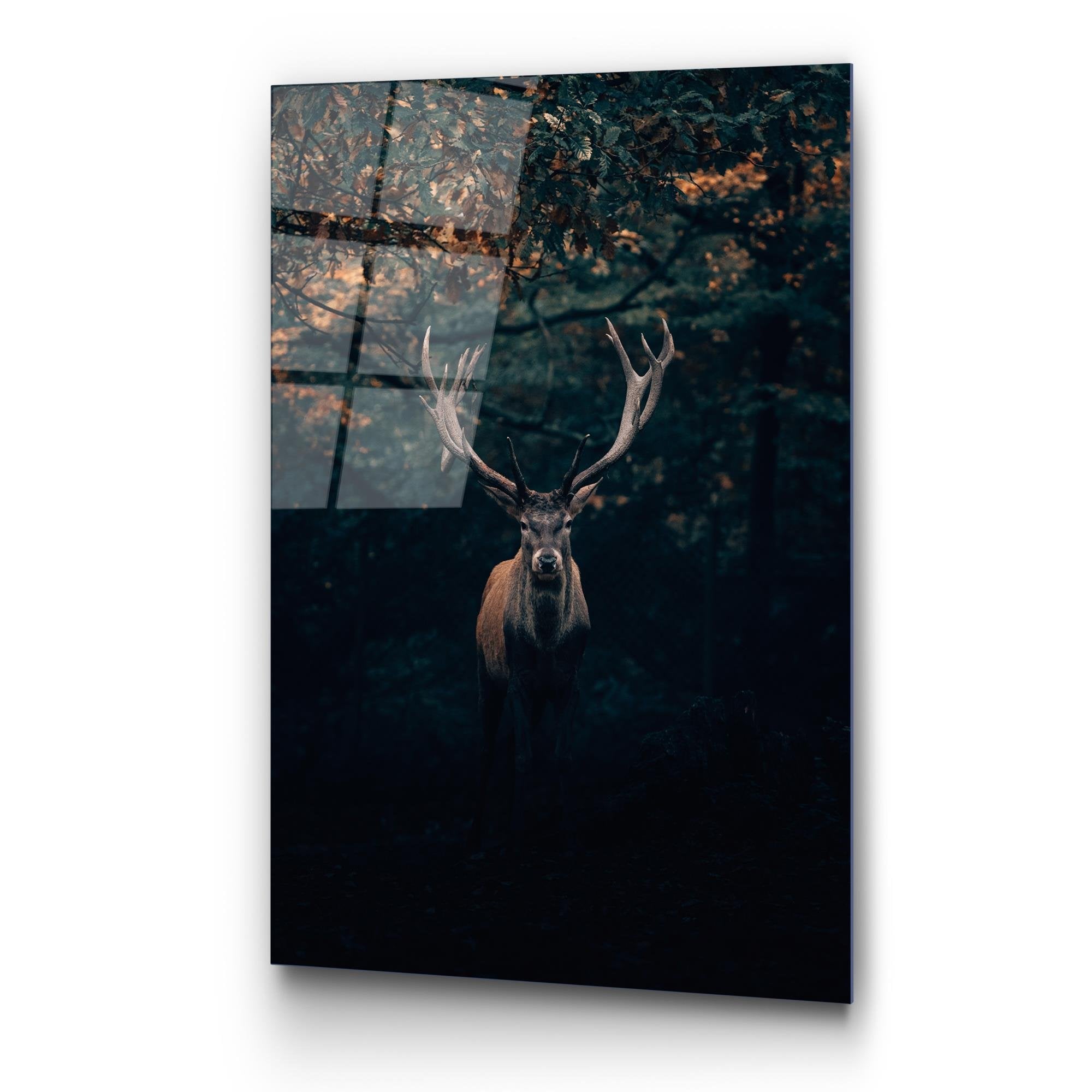 UV-157 Baskılı Cam Dikdörtgen Duvar Tablosu | ByLamp