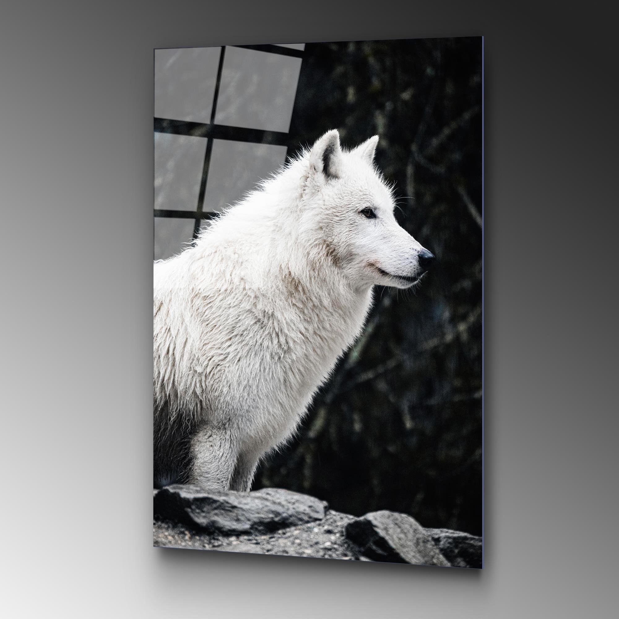 UV-161 Baskılı Cam Dikdörtgen Duvar Tablosu | ByLamp