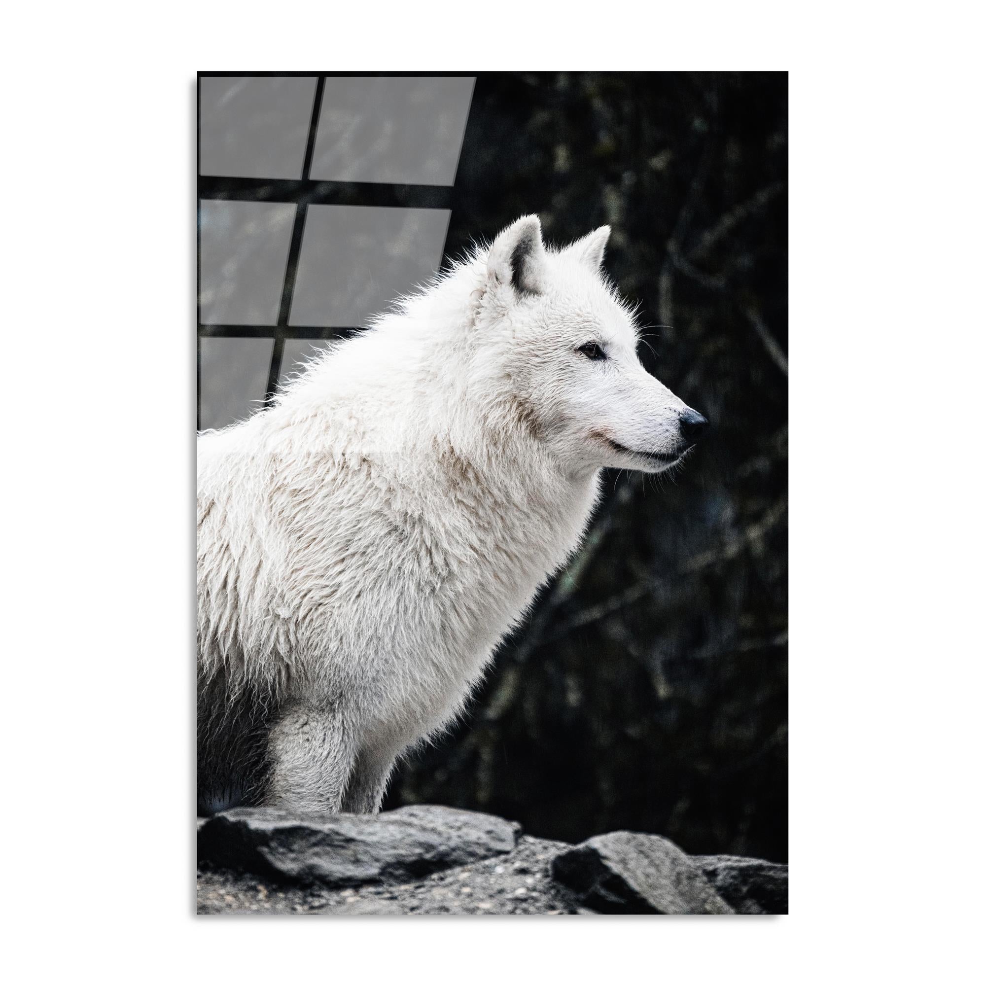 UV-161 Baskılı Cam Dikdörtgen Duvar Tablosu | ByLamp