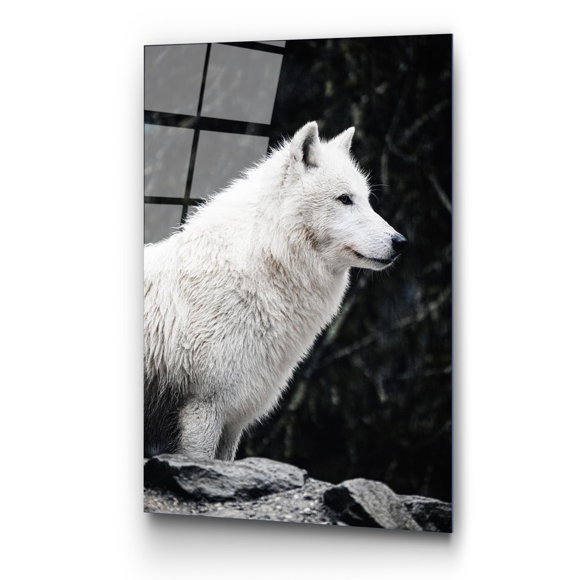 UV-161 Baskılı Cam Dikdörtgen Duvar Tablosu | ByLamp