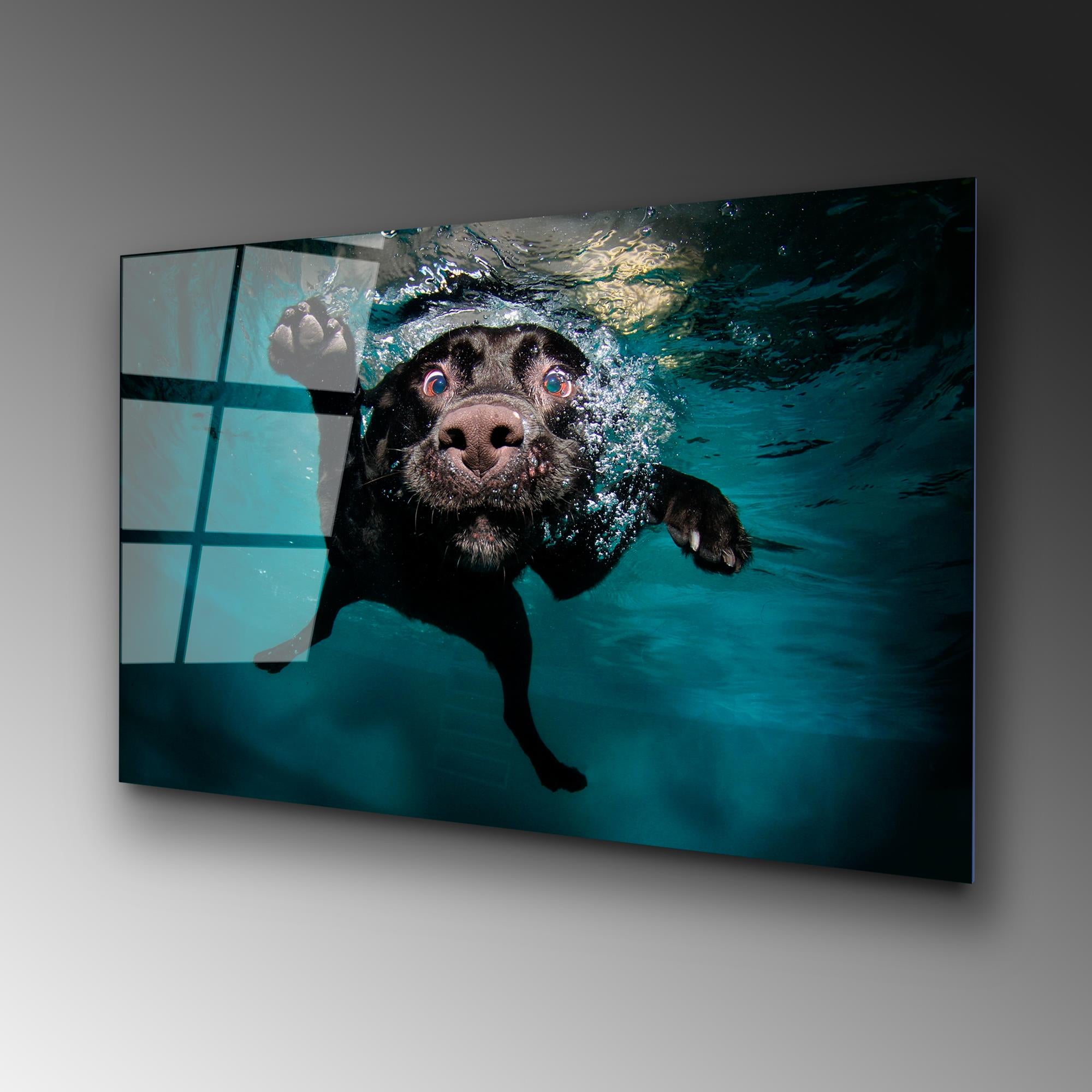 UV-166 Baskılı Cam Dikdörtgen Duvar Tablosu | ByLamp