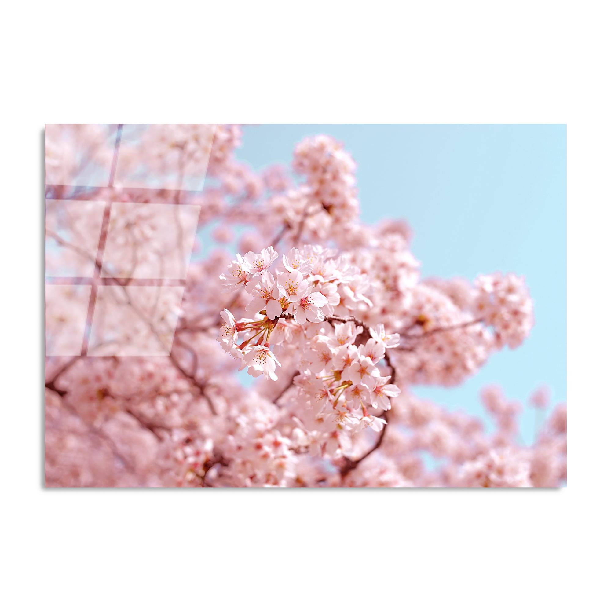 UV-183 Baskılı Cam Dikdörtgen Duvar Tablosu | ByLamp